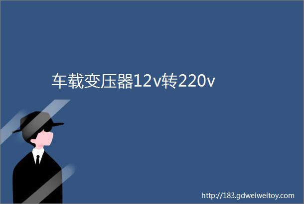 车载变压器12v转220v