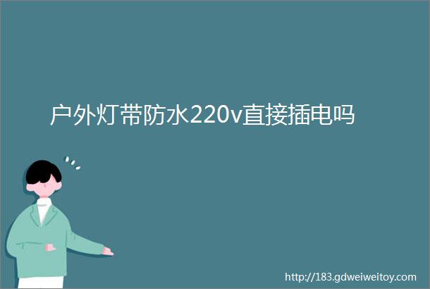 户外灯带防水220v直接插电吗